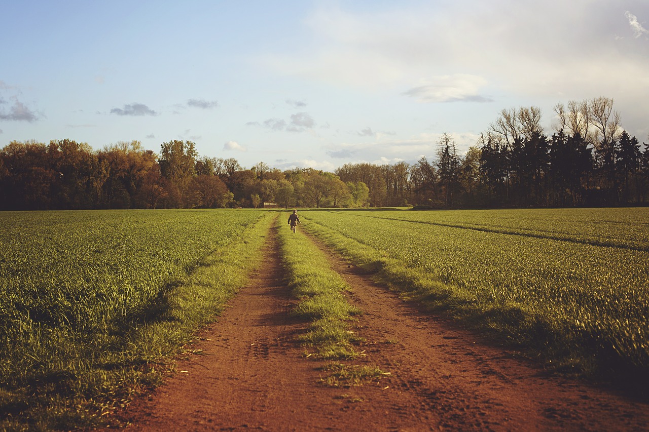 field away nature free photo