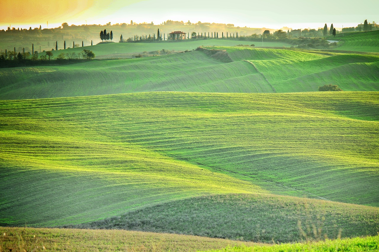 field green tuscany free photo