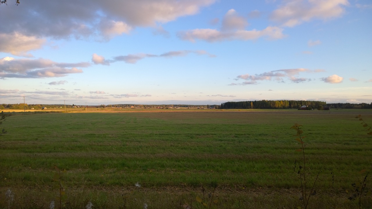 field sky summer free photo