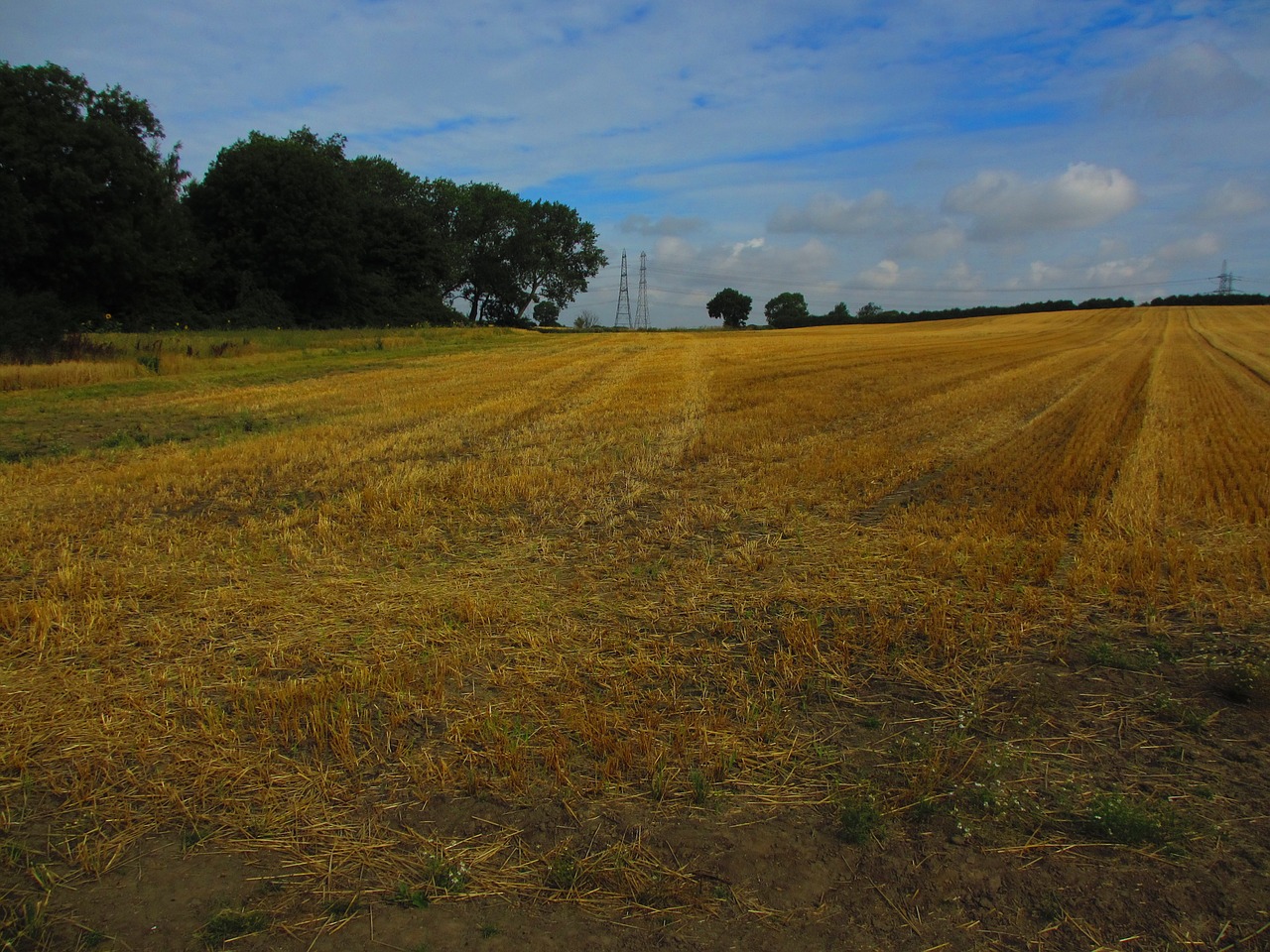 field landscape nature free photo