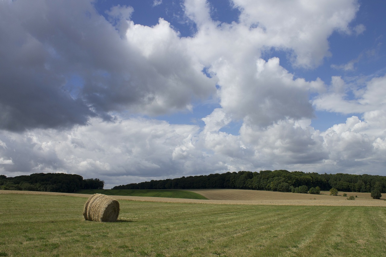 field sky clouds free photo