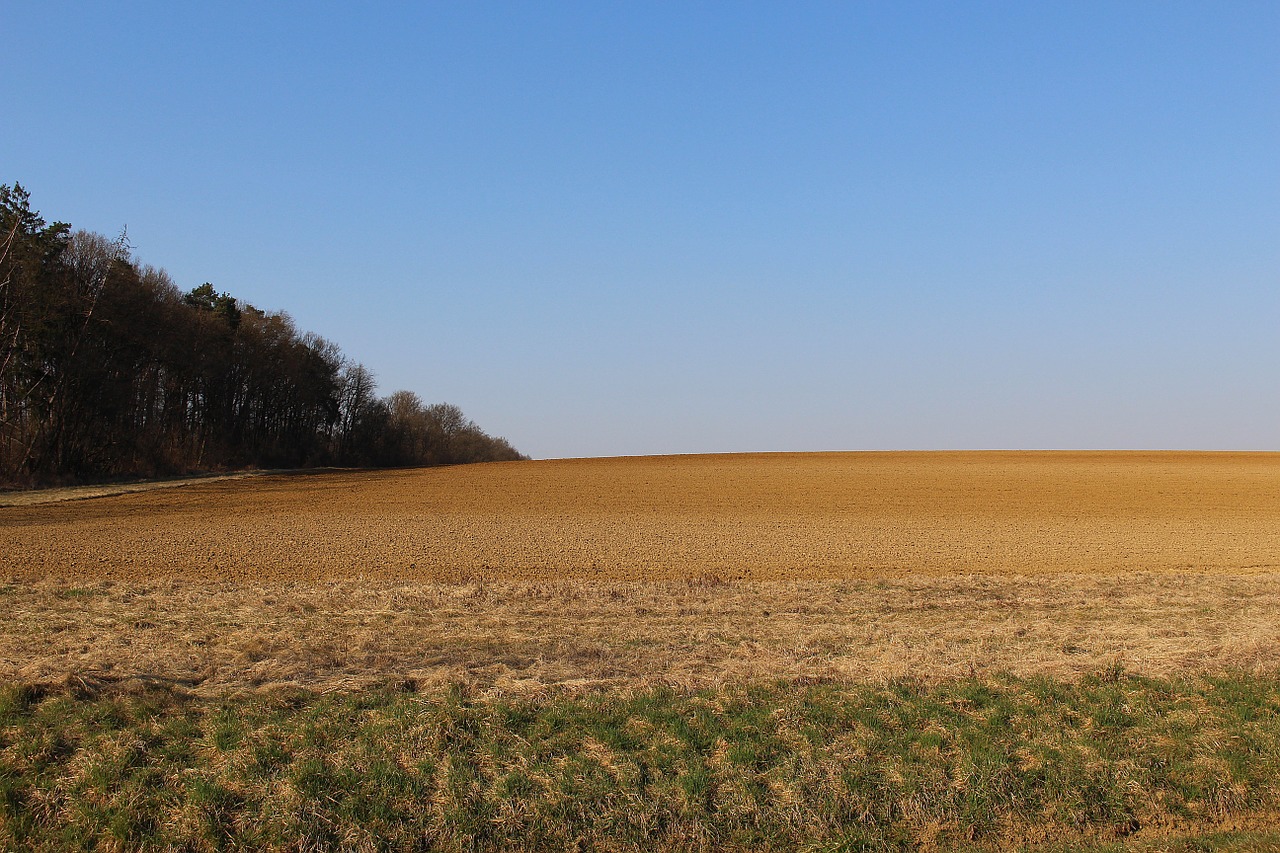 field arable subsoil free photo