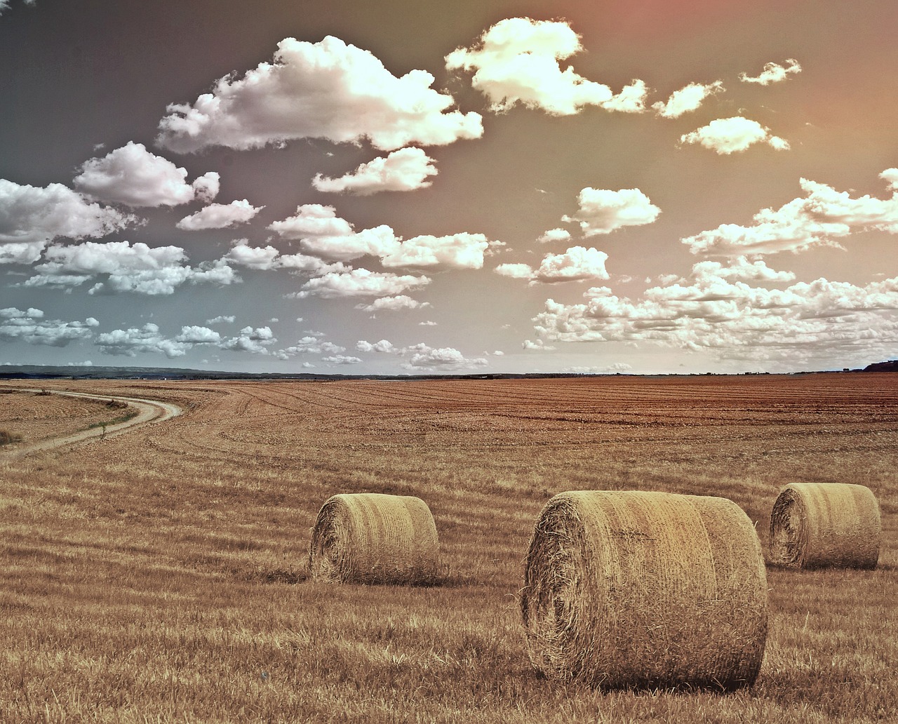 field straw bales agriculture free photo