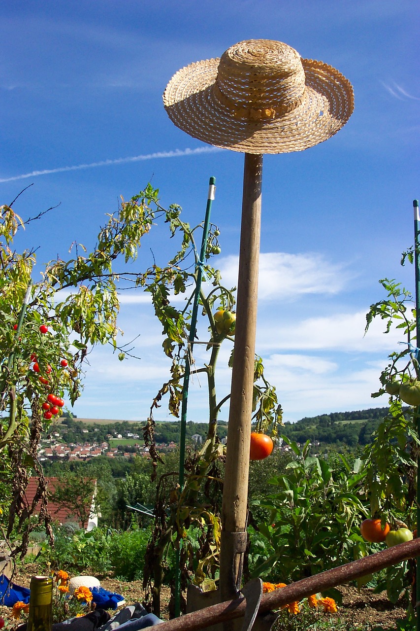 field garden gardener free photo