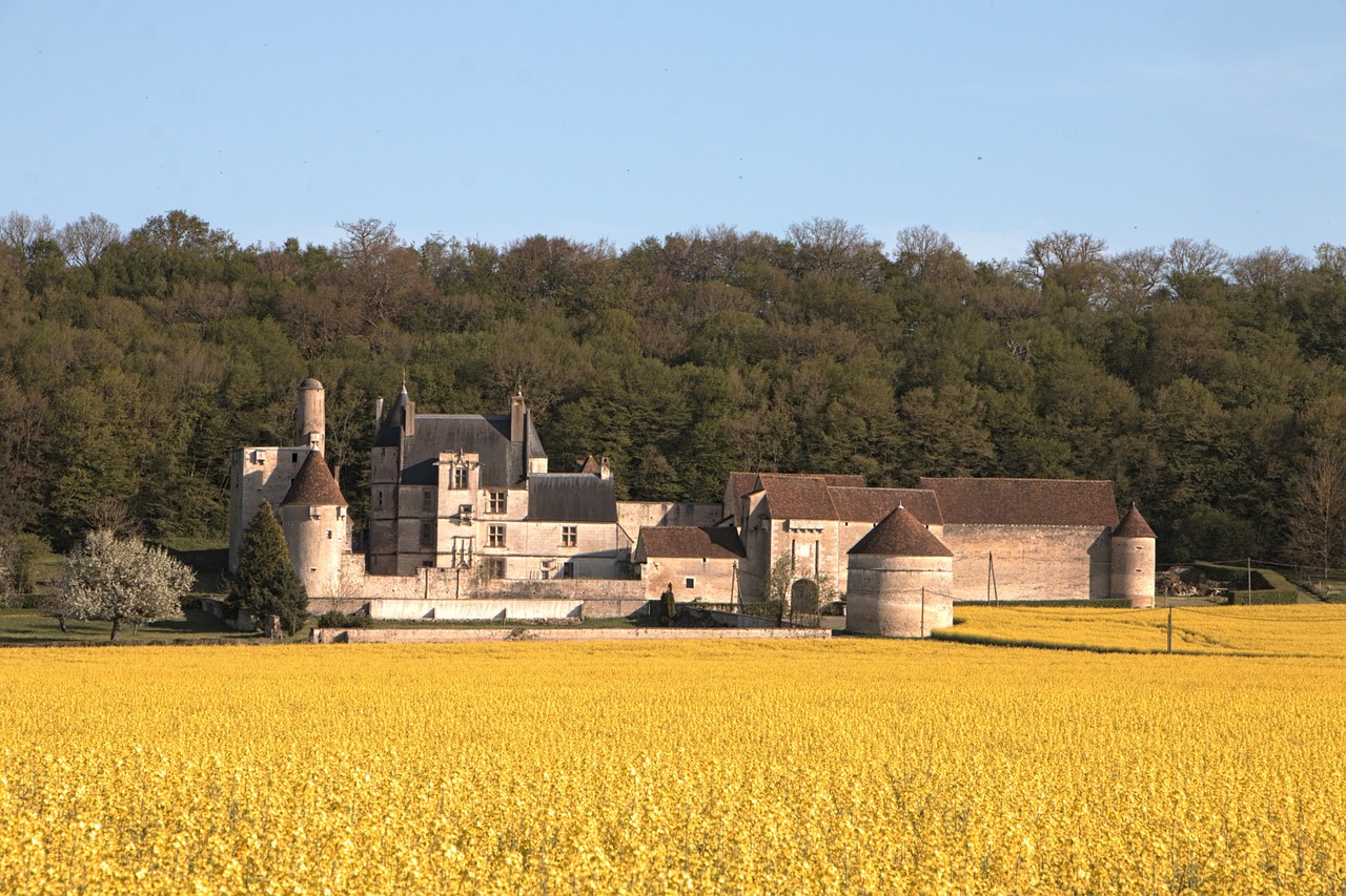 field burgundy farm free photo