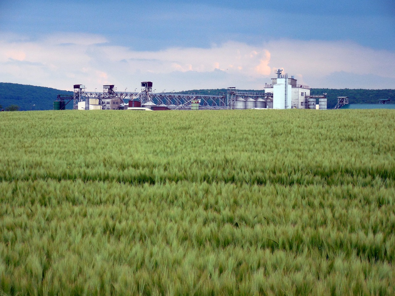 field agriculture industry free photo