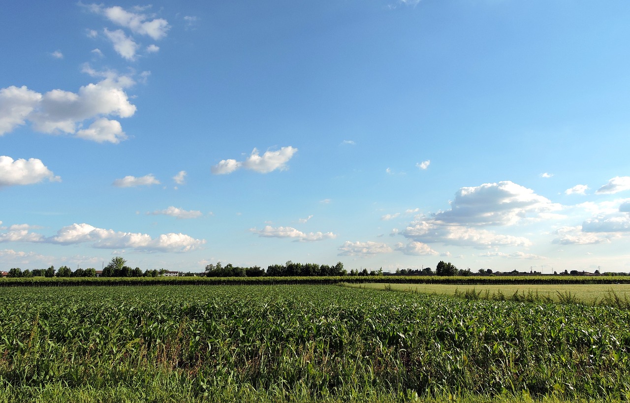 field cloud sky free photo