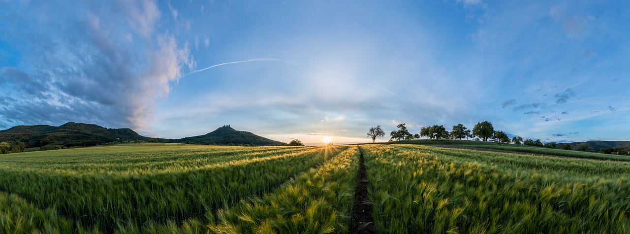 field landscape sunset free photo