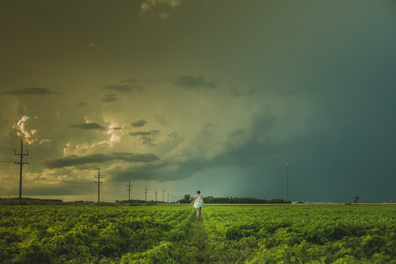 field woman walk free photo