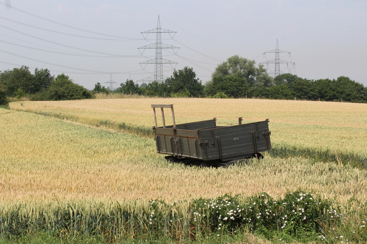 field nature trailers free photo