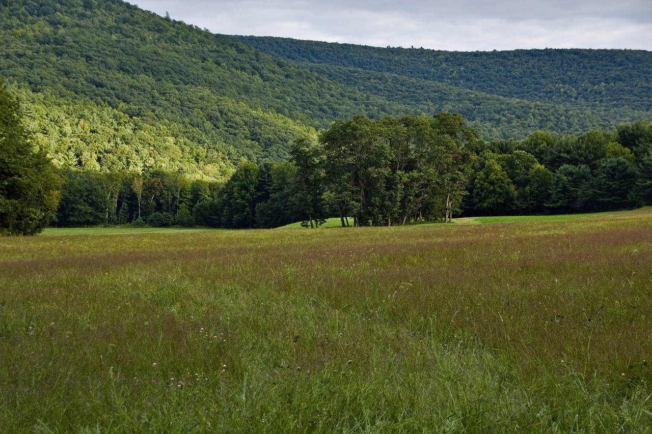 field mountain landscape free photo