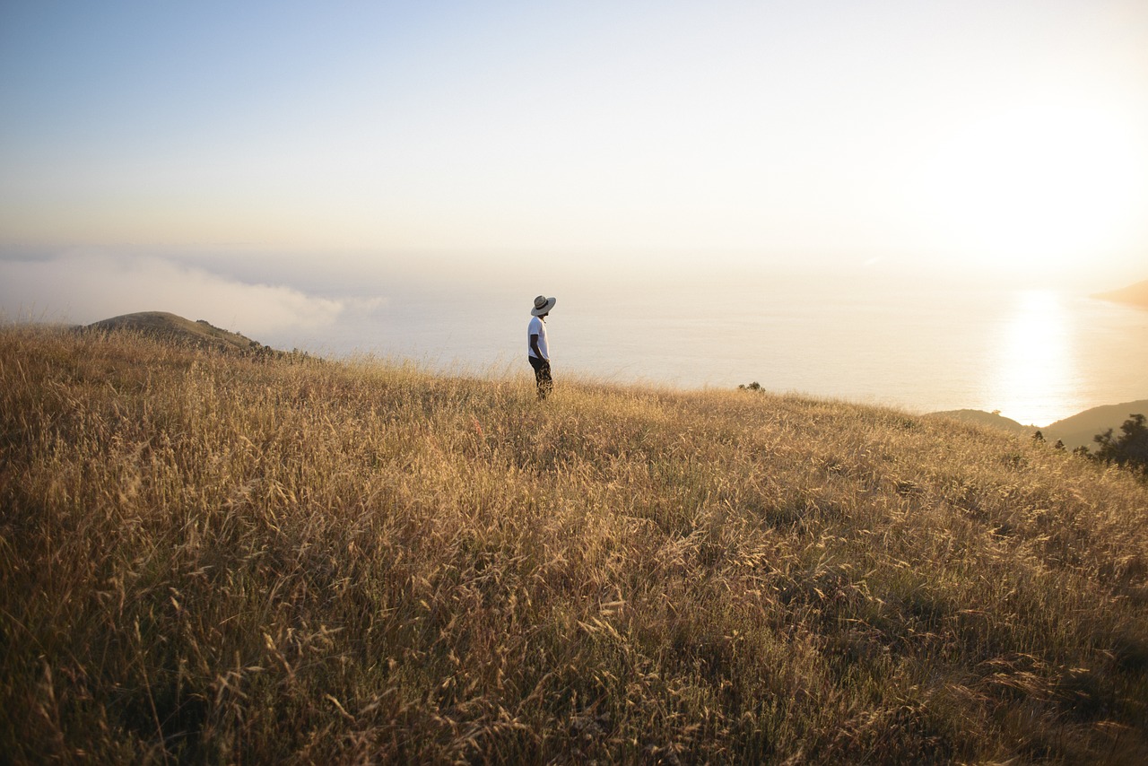 field landscape countryside free photo