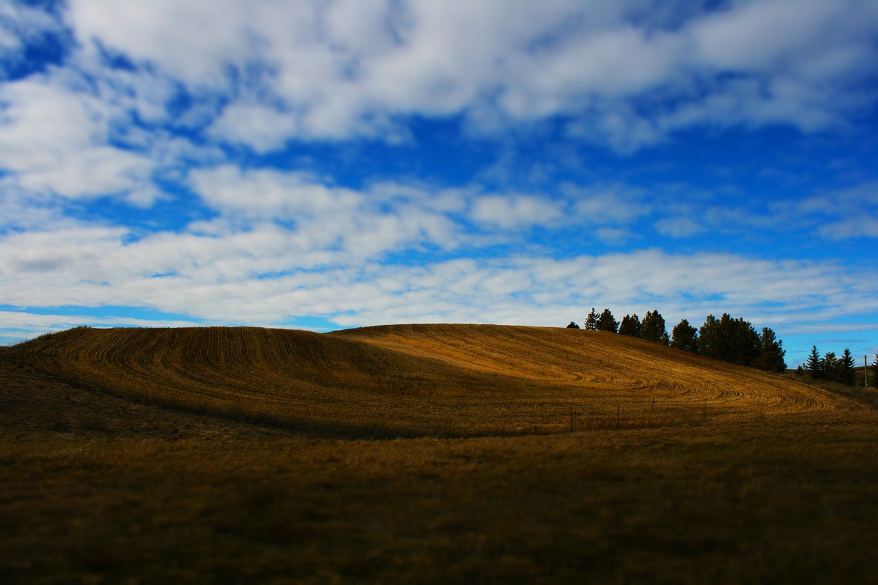 field grass countryside free photo