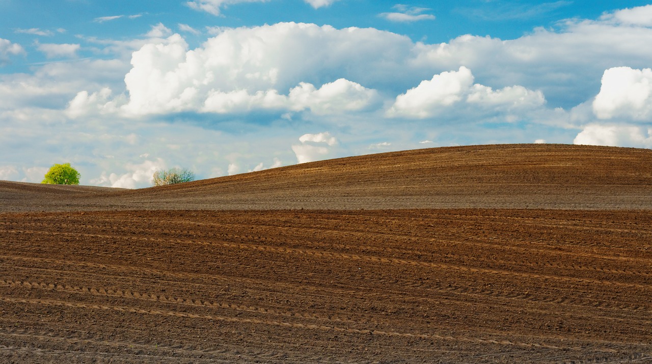 field agriculture sky free photo