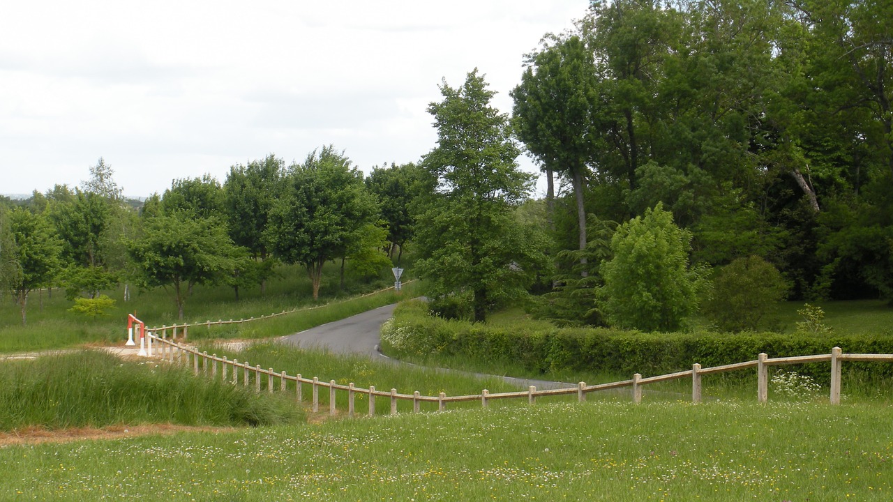 field landscape nature free photo