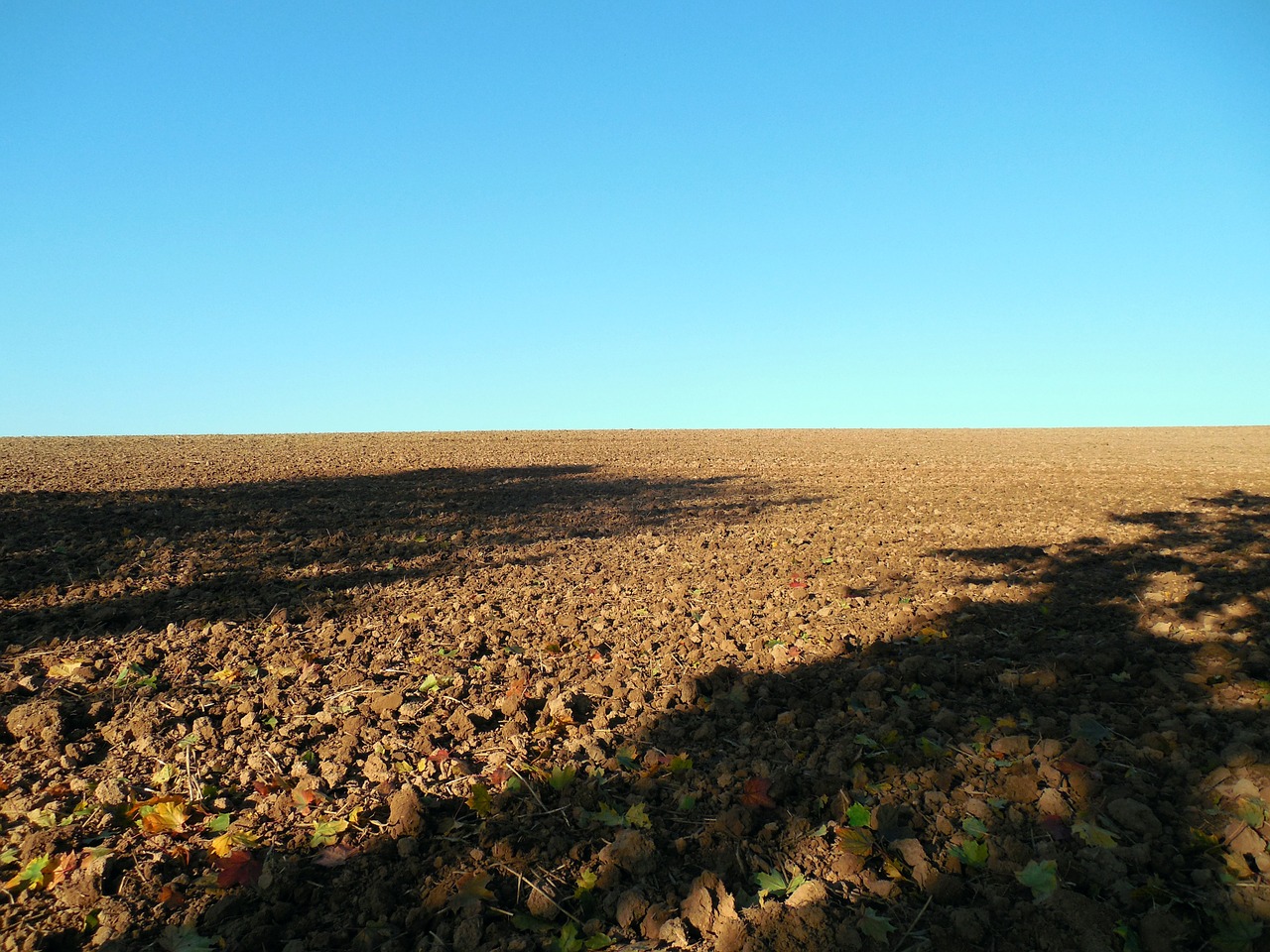 field arable autumn free photo