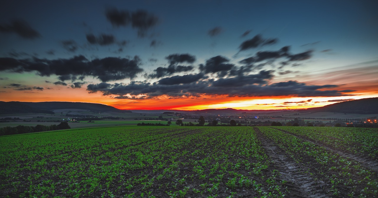 field countryside sunset free photo