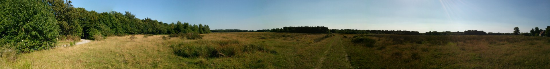 panorama field forest free photo