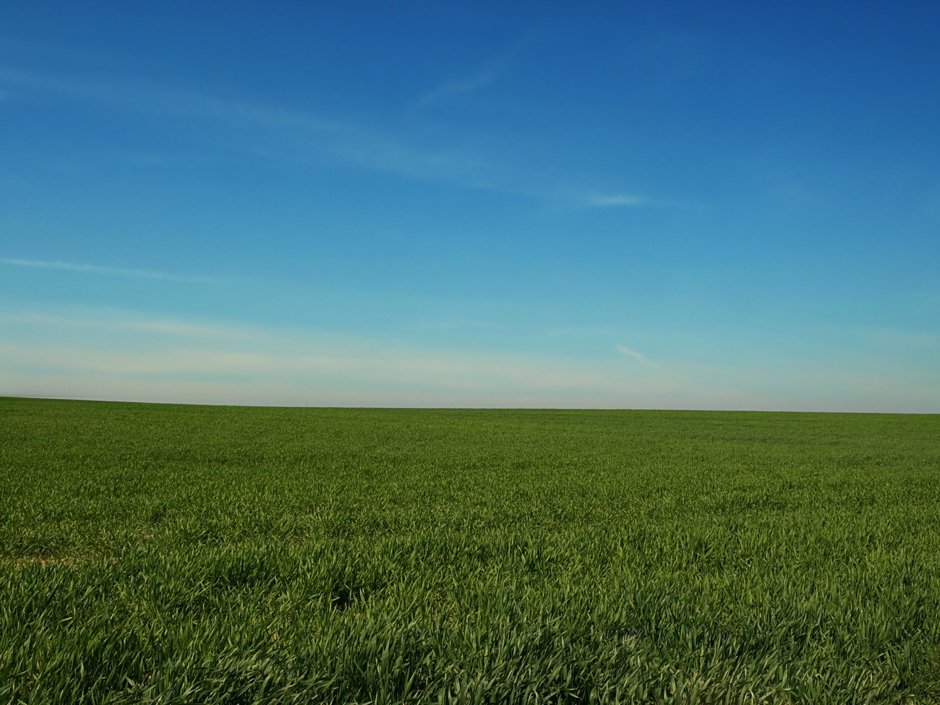 field sky heaven free photo