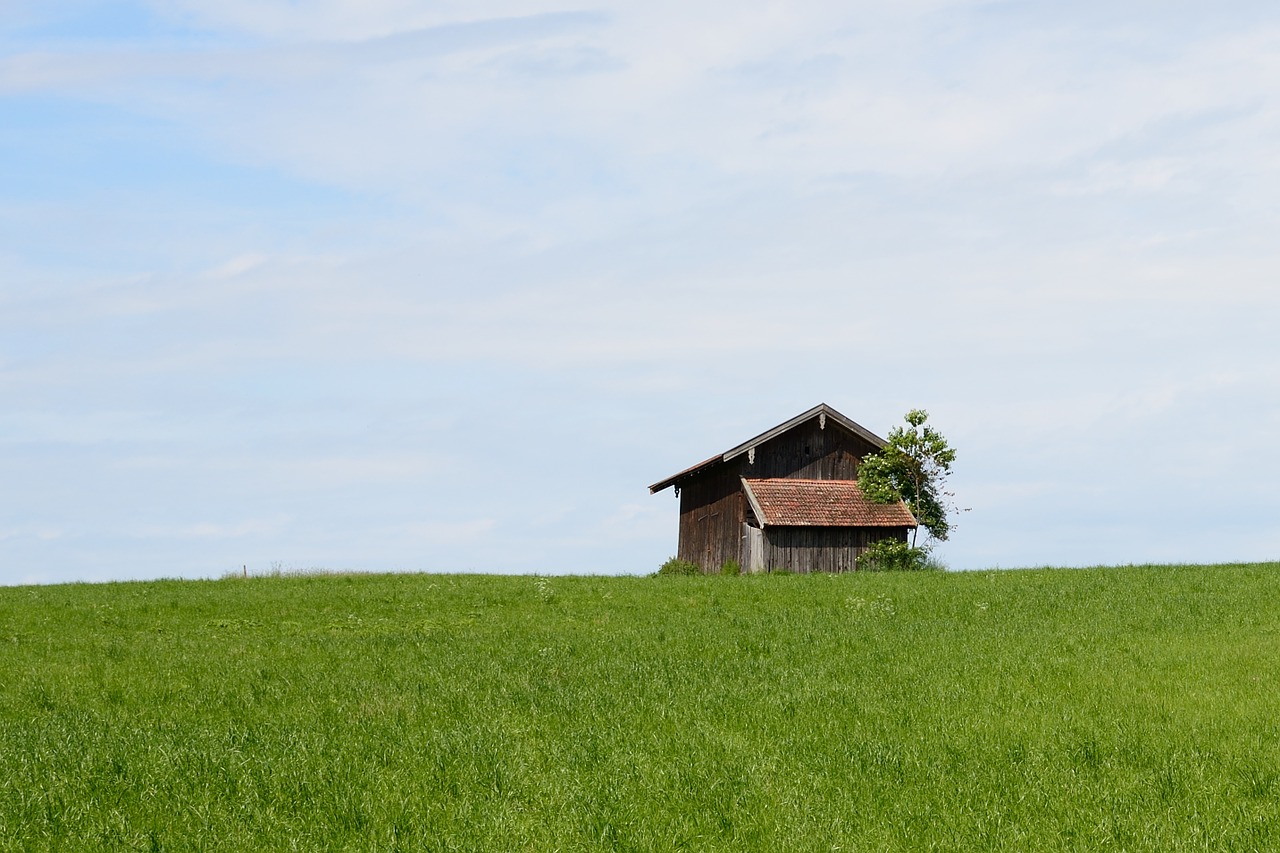 field barn barn hut free photo