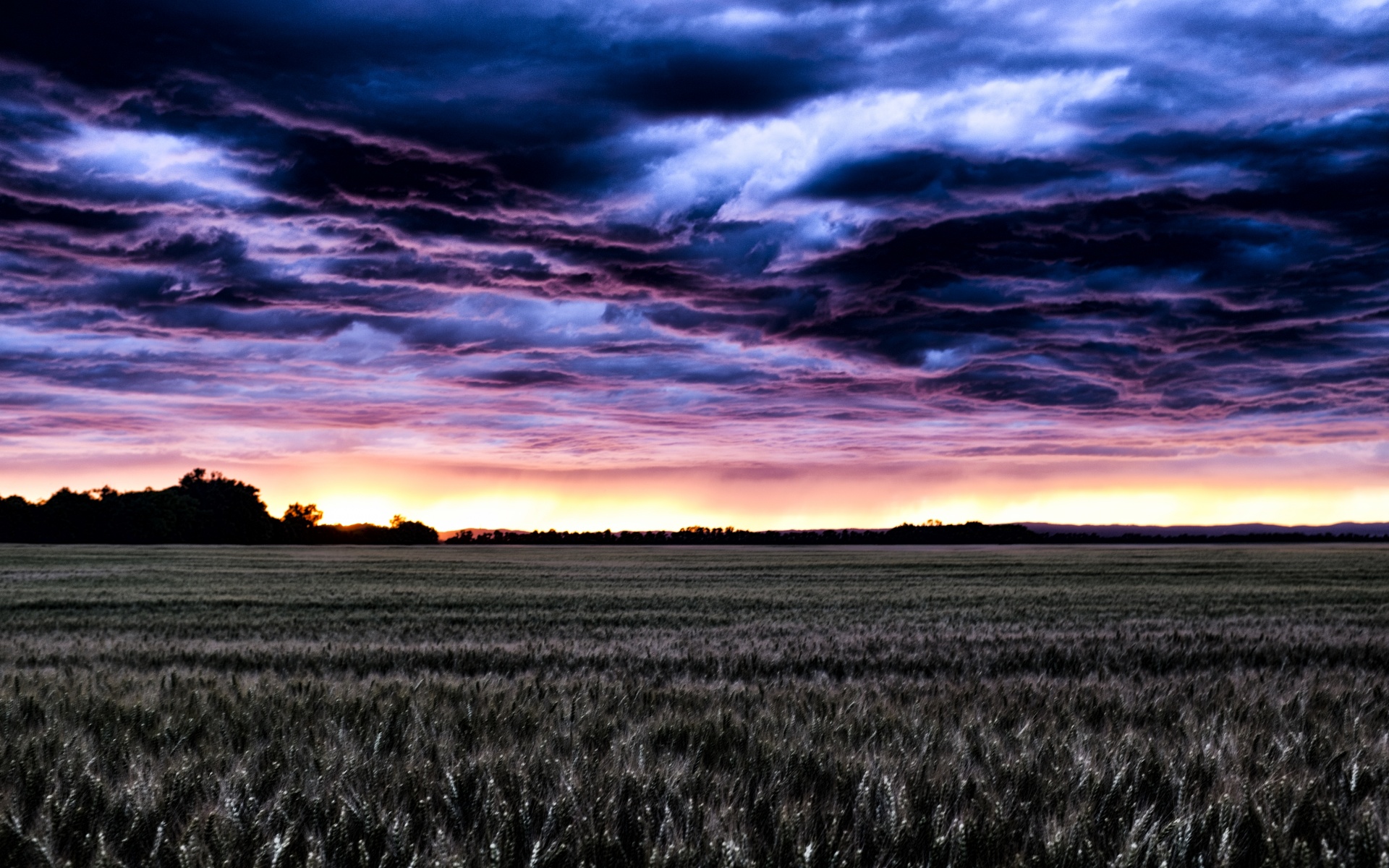 field storm sunset free photo