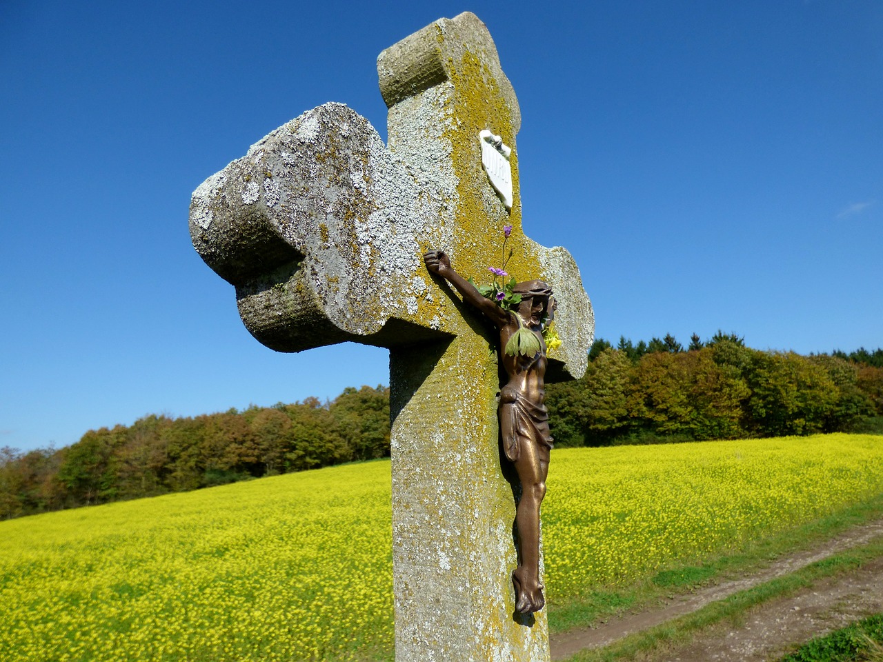 field cross crucifix mustard seed field free photo