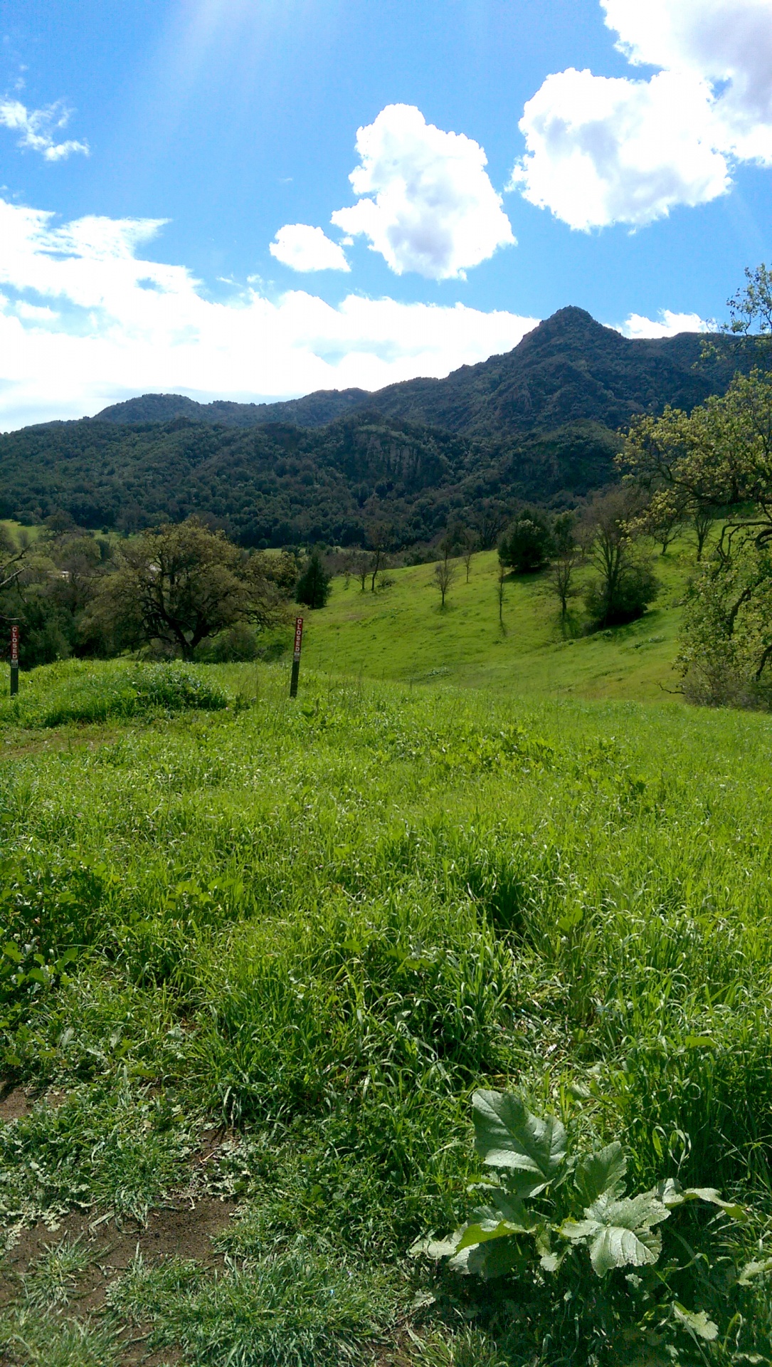 malibu canyon field nature free photo