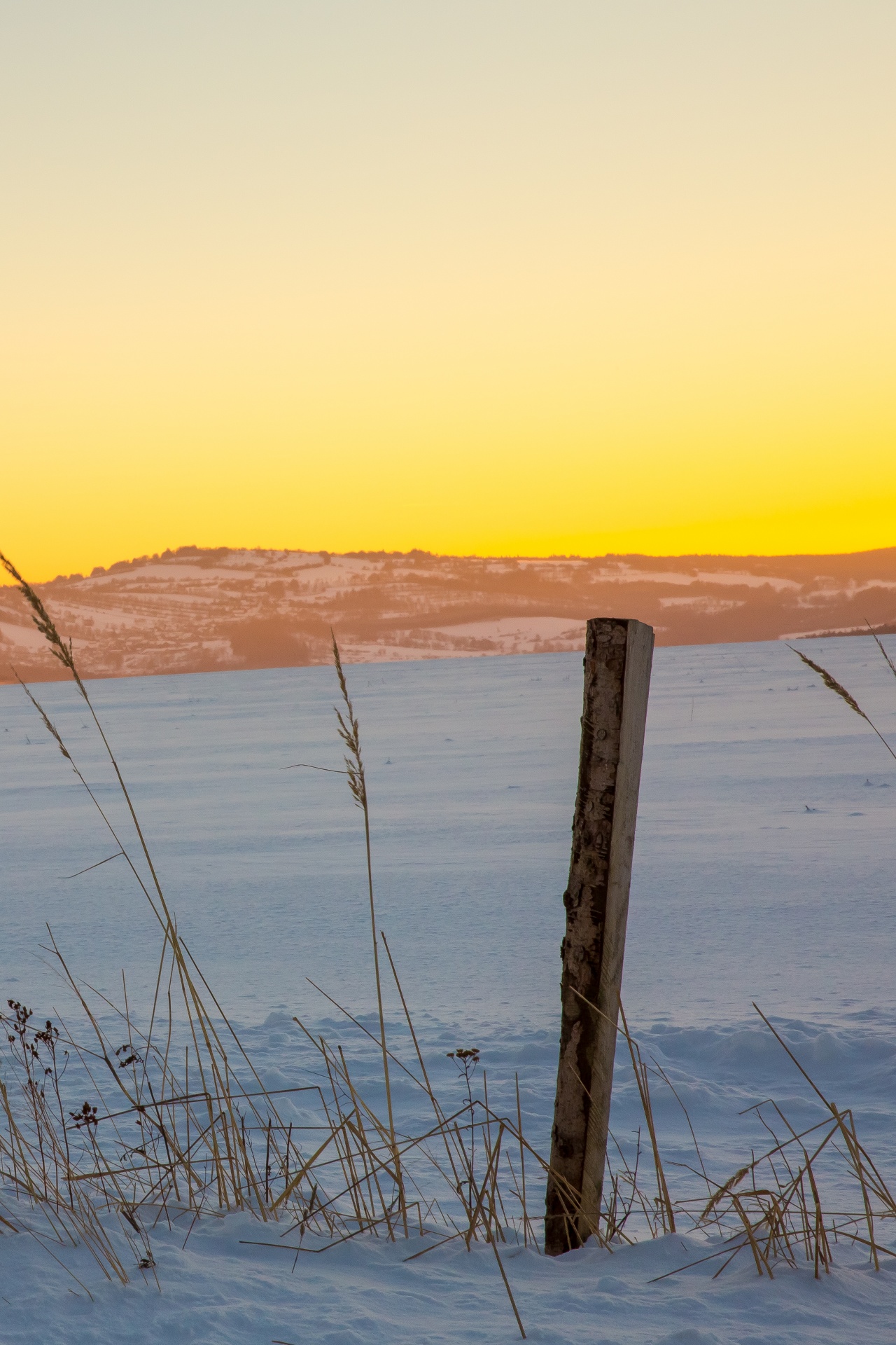 cold fence field free photo