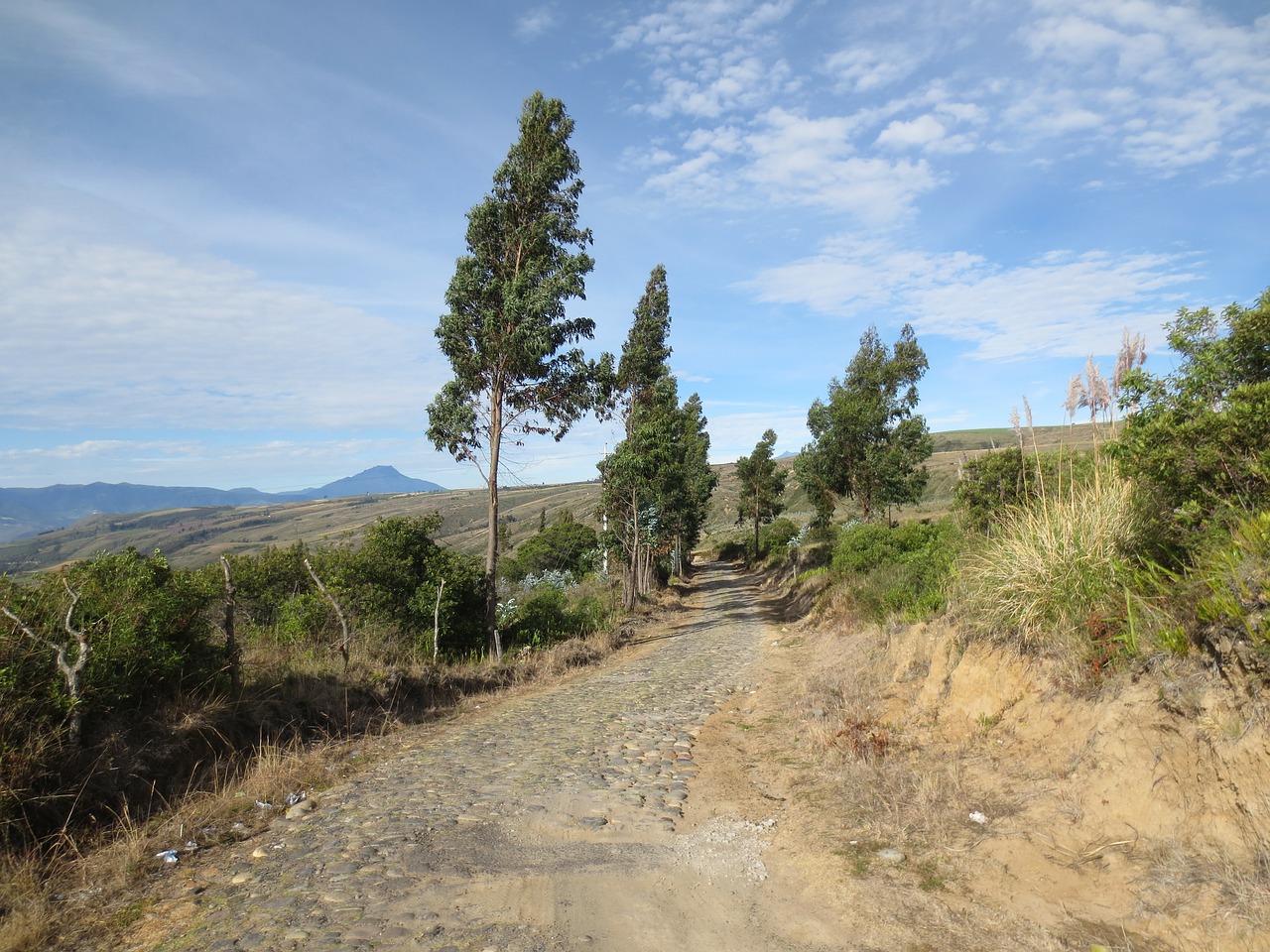 field path gravel path free photo