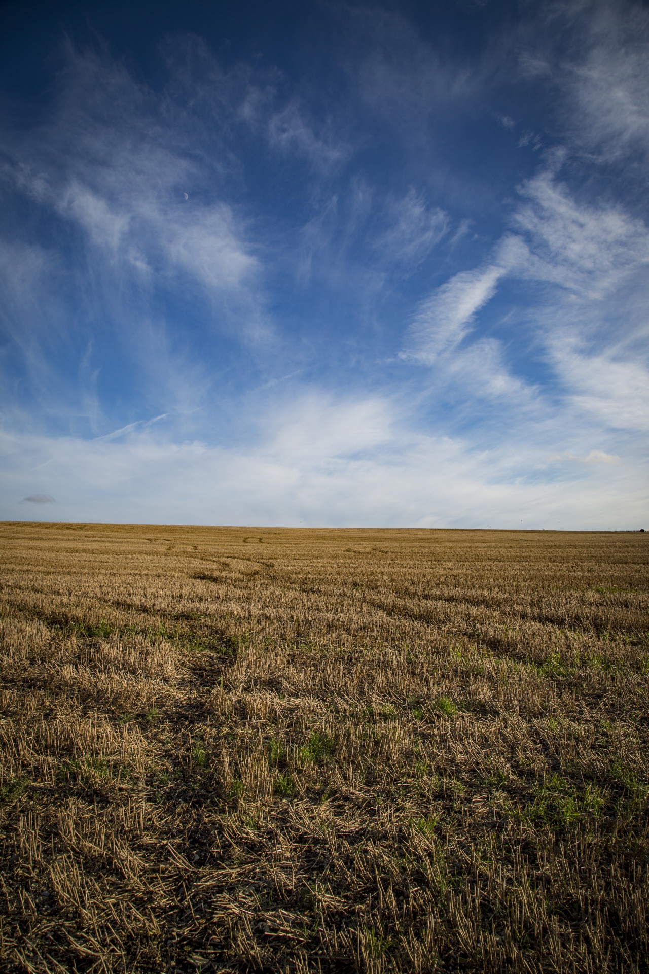 agriculture field landscape free photo