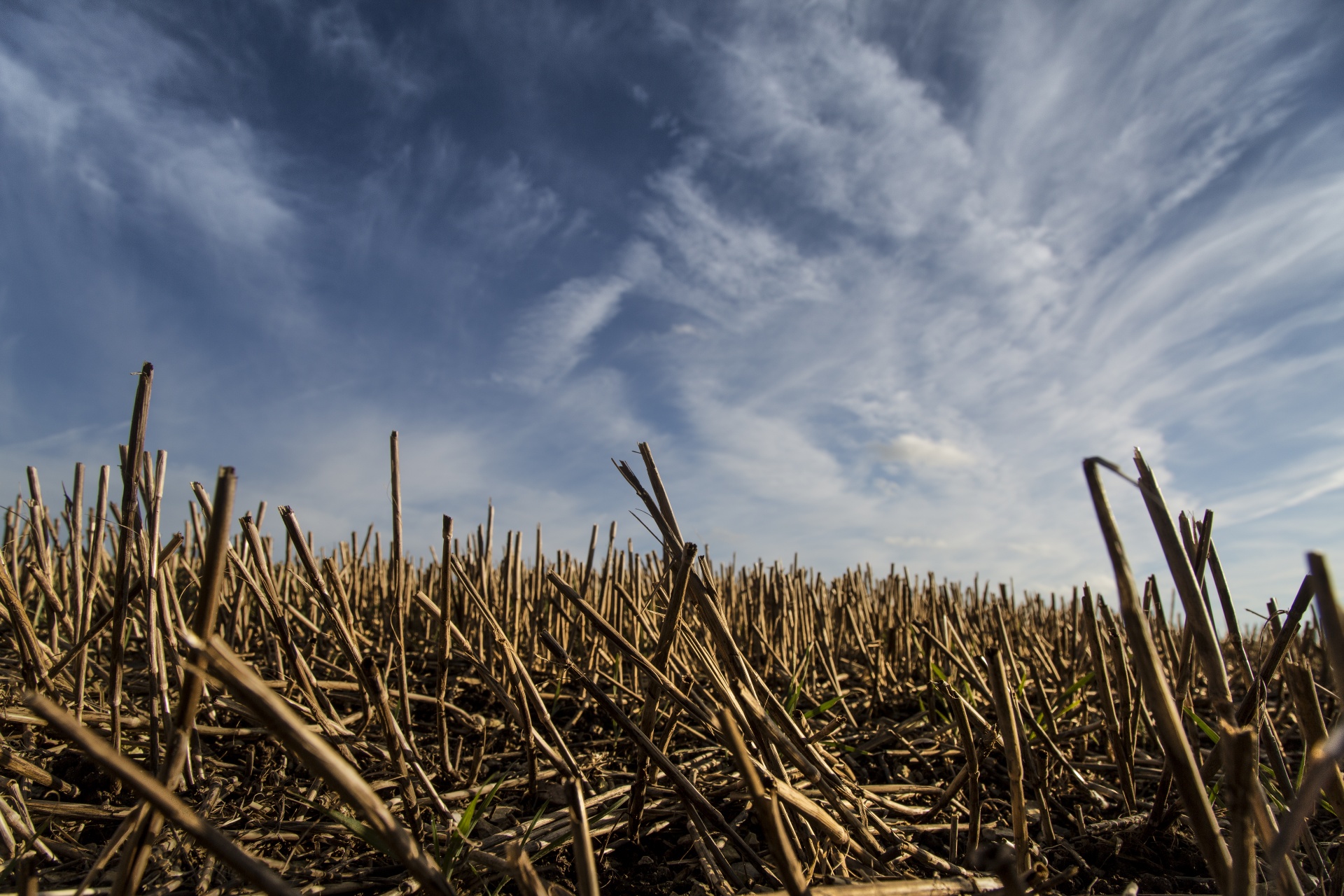 agriculture field landscape free photo