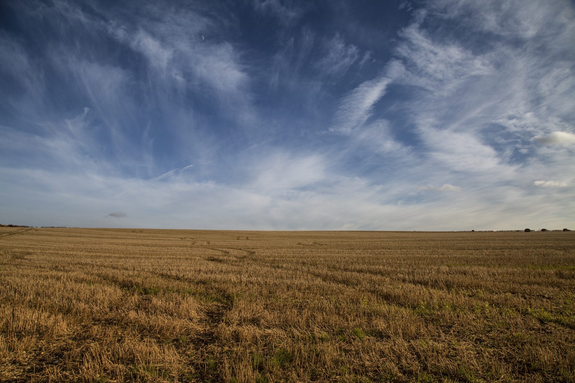 agriculture field landscape free photo