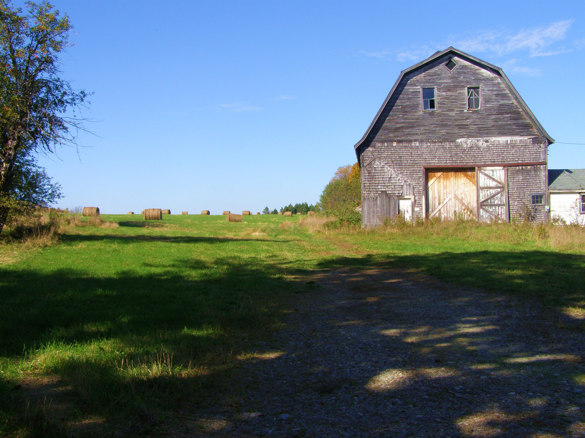 field old barn free photo