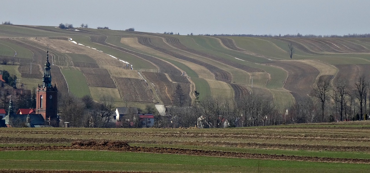 fields landscape village free photo