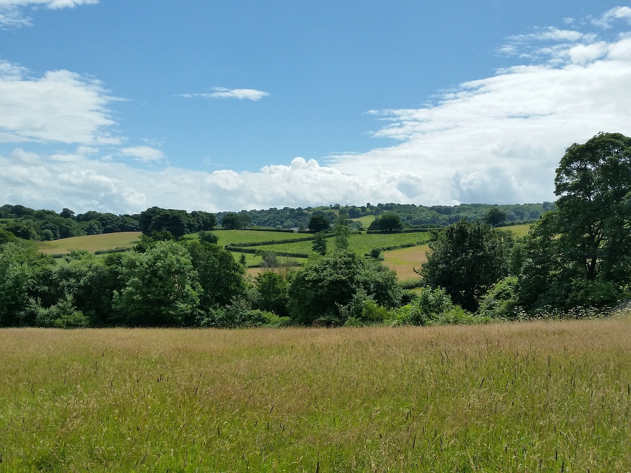 fields wales scenery free photo