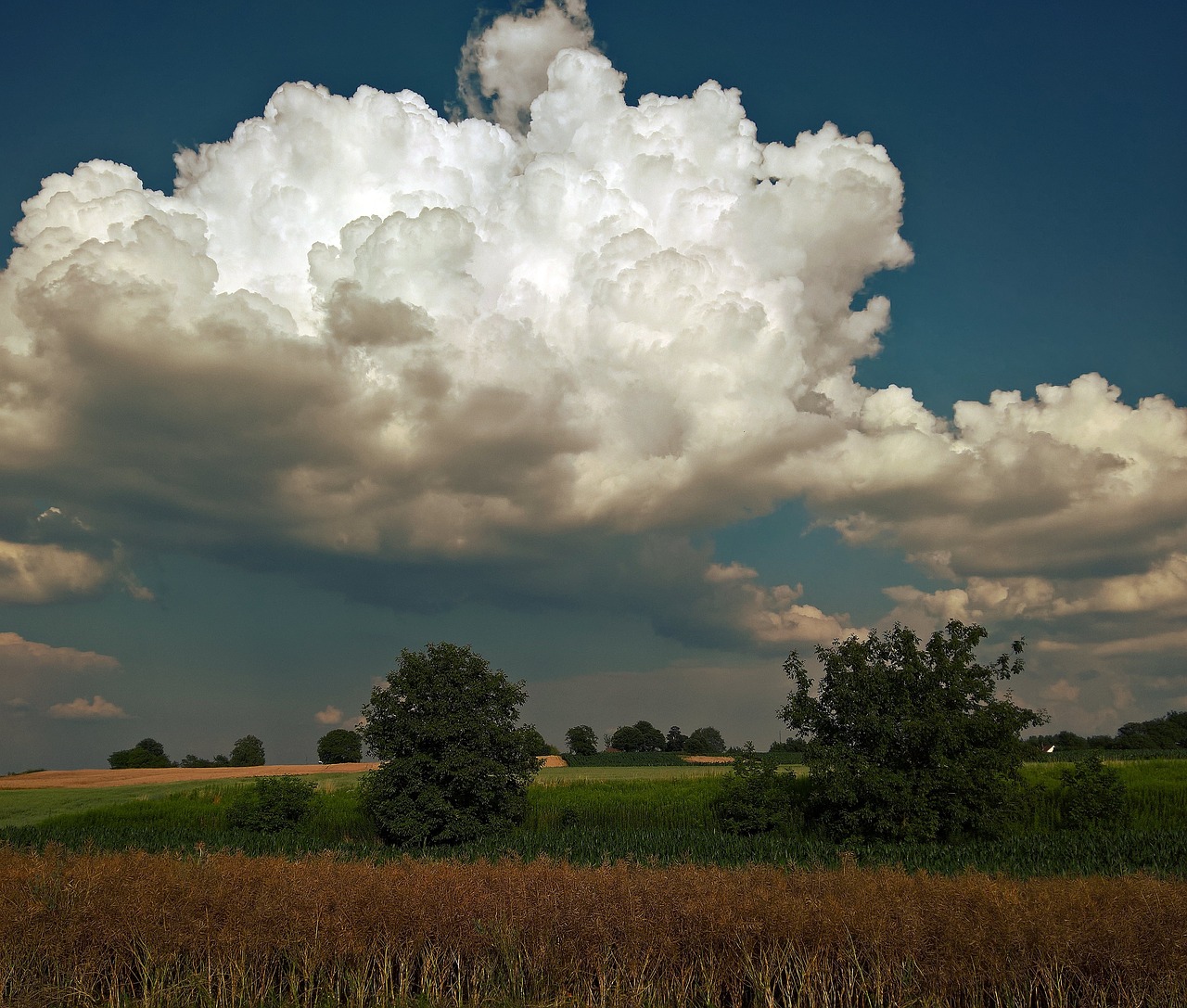 fields cloud landscape free photo