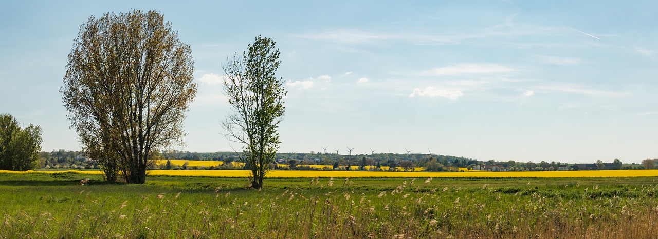 fields landscape panorama free photo