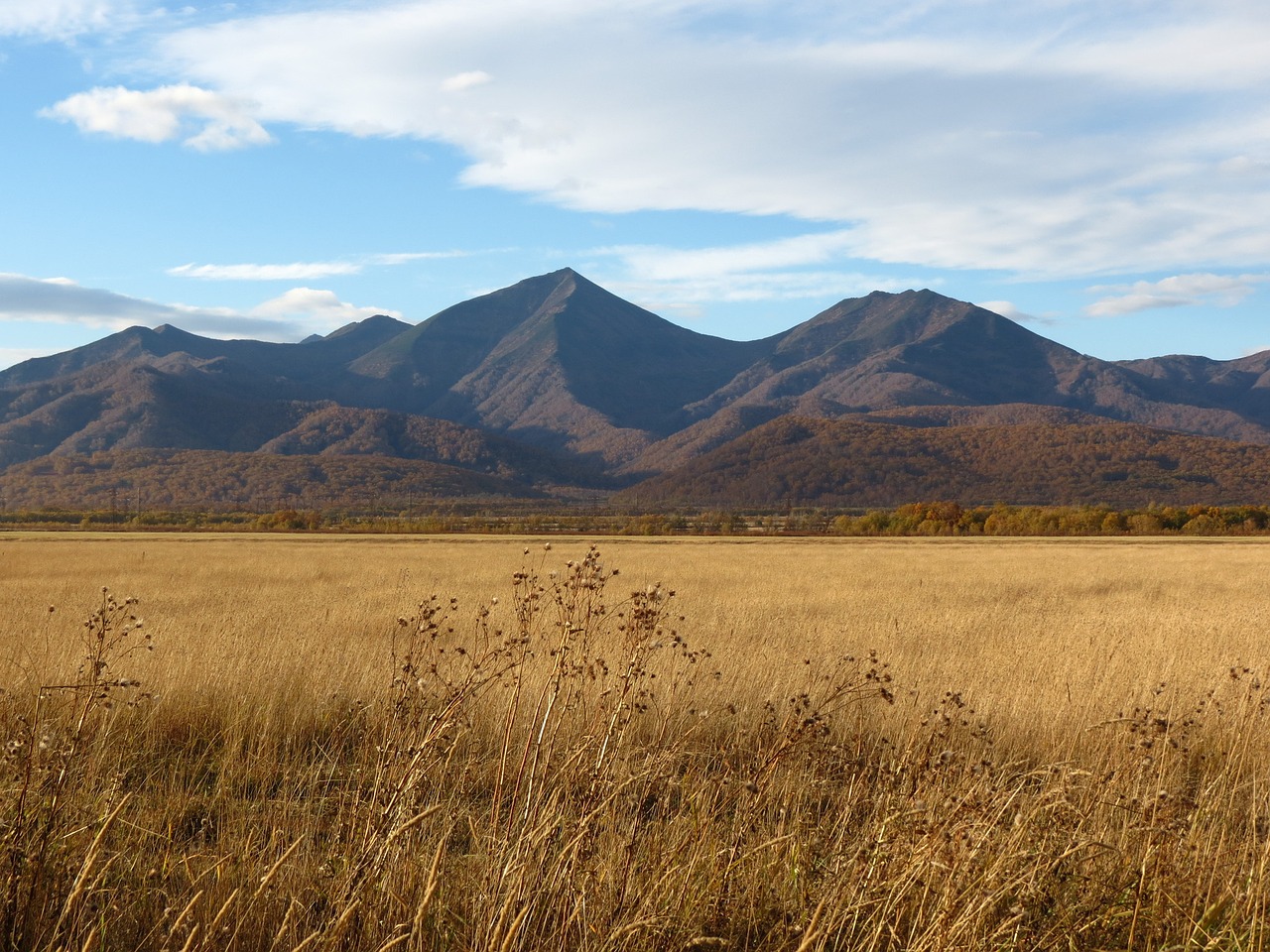 fields late autumn grass free photo