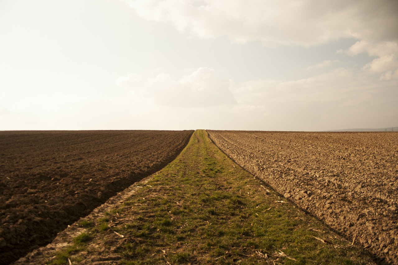 fields arable environment free photo