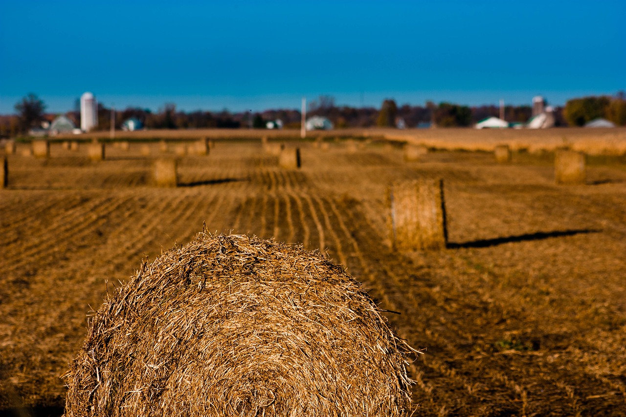 fields fall landscape free photo