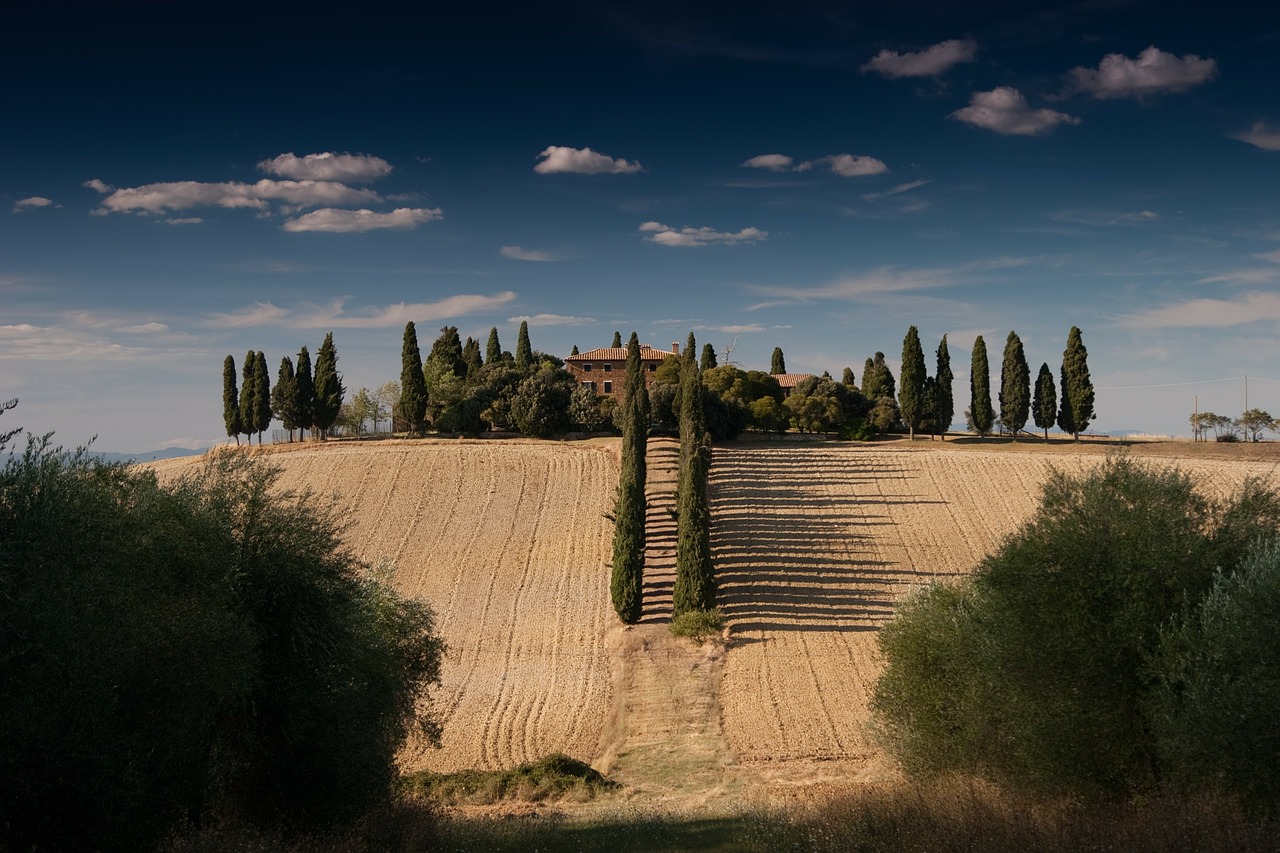 fields farm land countryside free photo