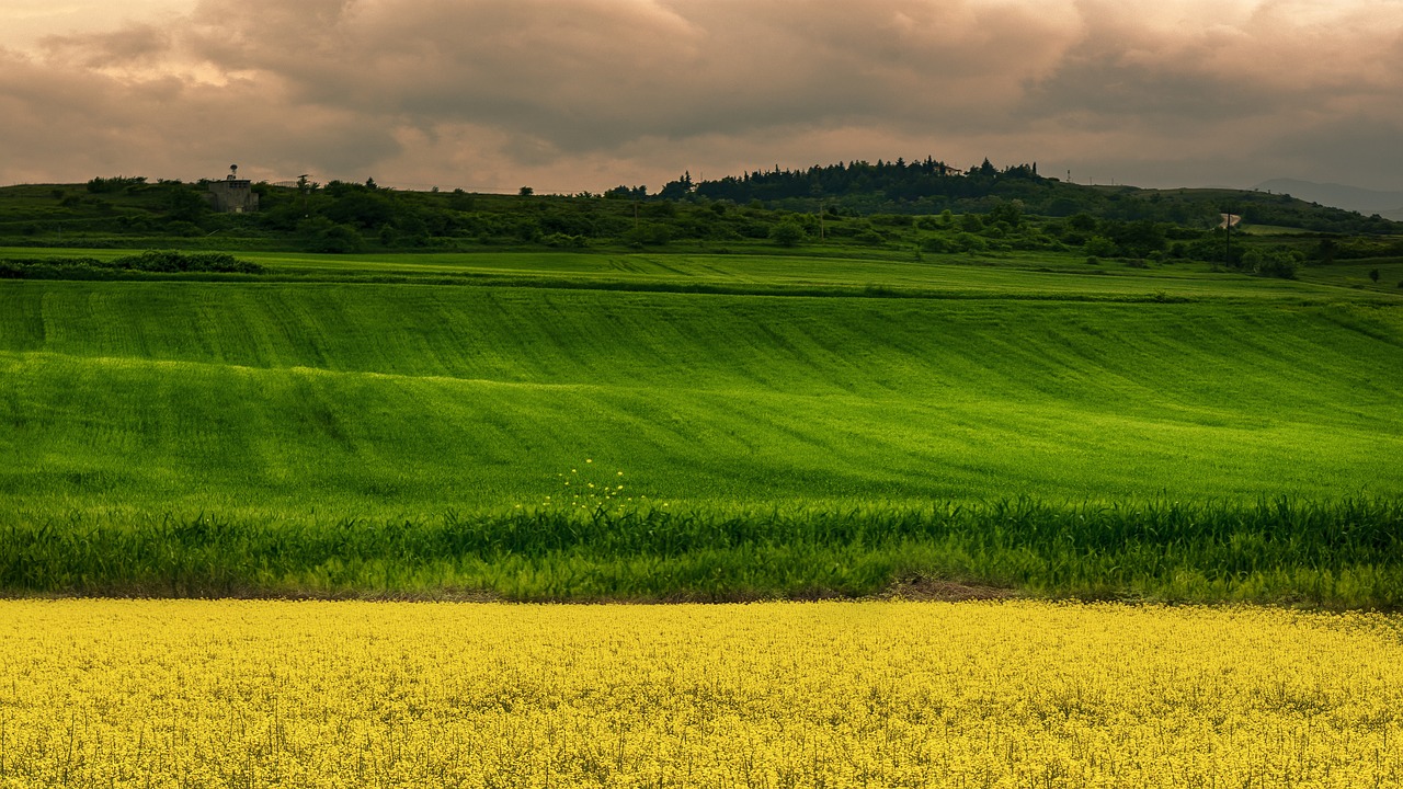 fields  spring  colors free photo