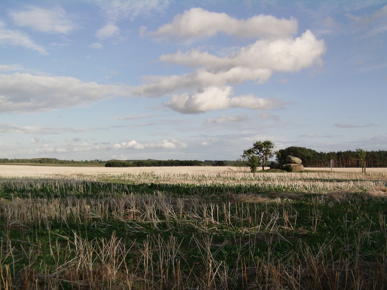 fields landscape northern germany free photo