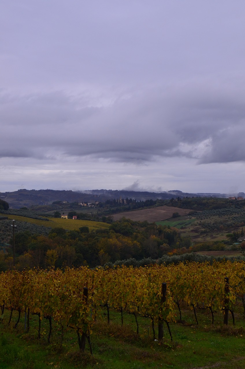 fields hills italy free photo