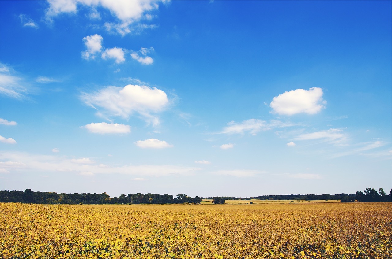 fields country rural free photo