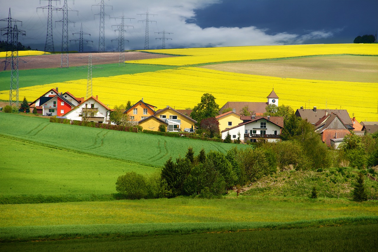 fields mustard nature free photo