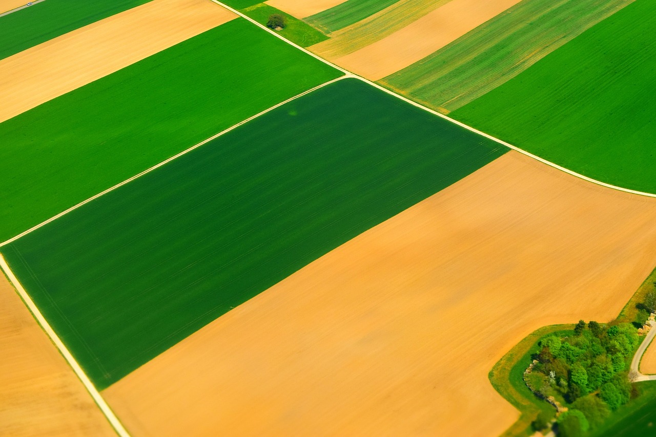 fields arable agriculture free photo