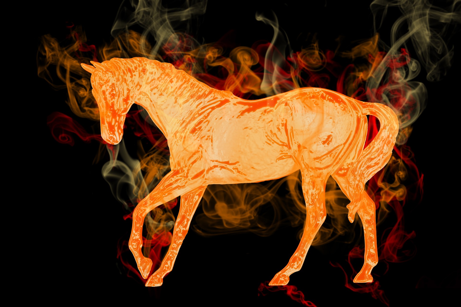 horse fire flame free photo