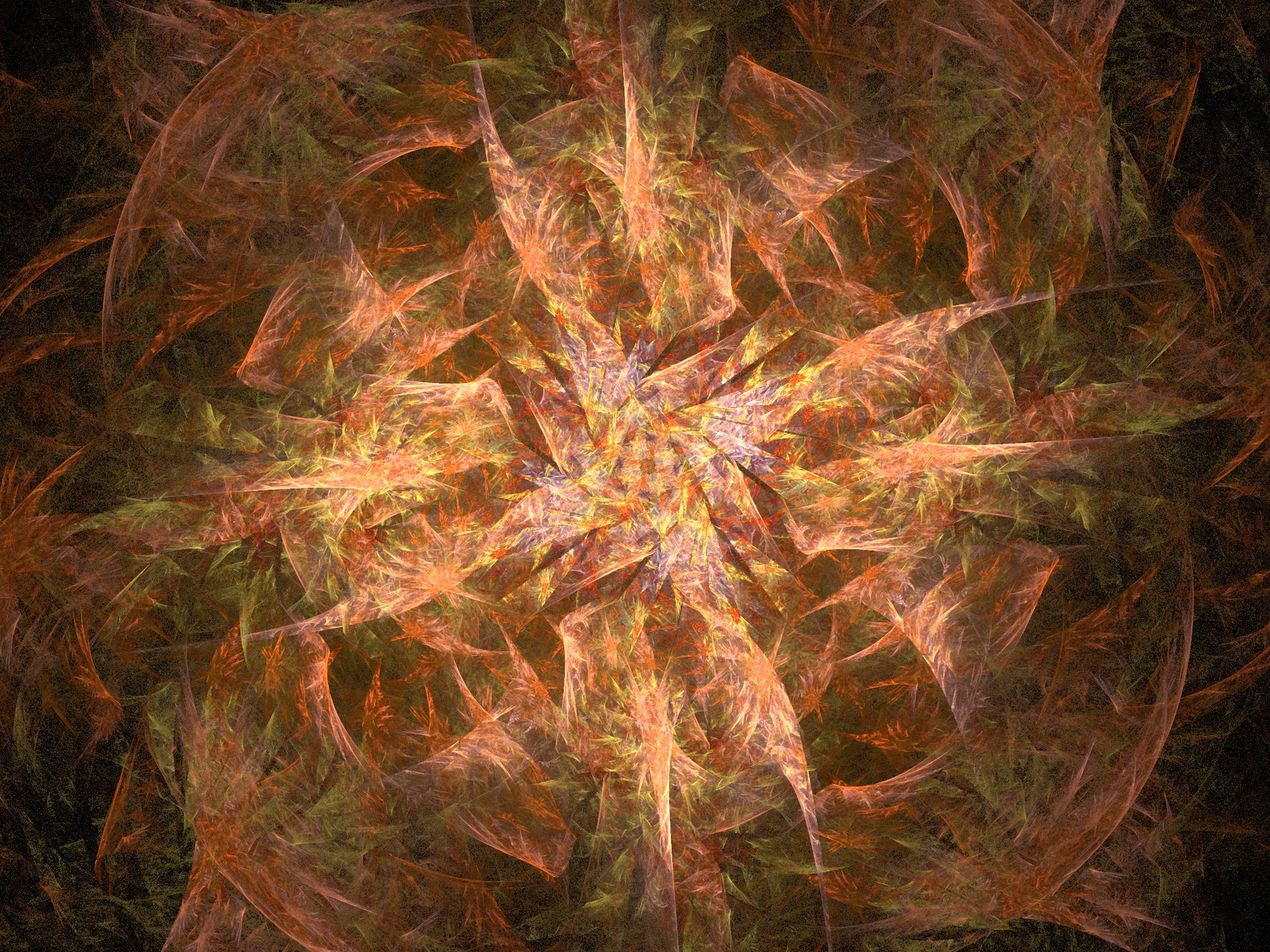 fractal orange brown free photo