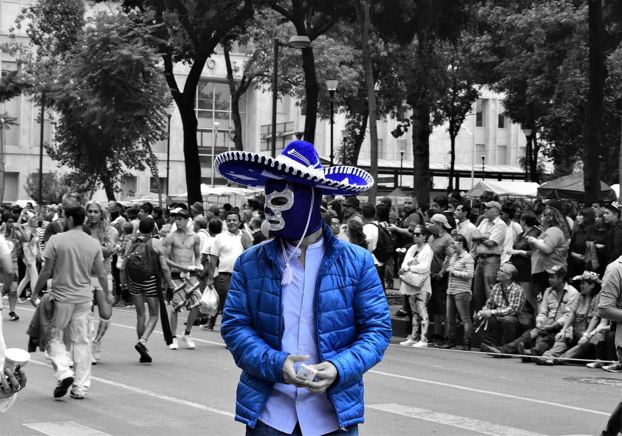 fighter mexico blue free photo